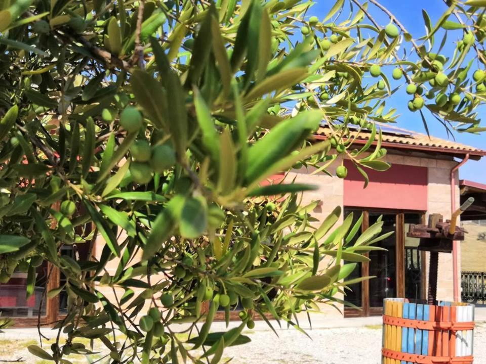 Country House Torrenera Morro d'Oro Экстерьер фото